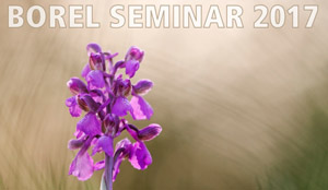 Borel Seminar